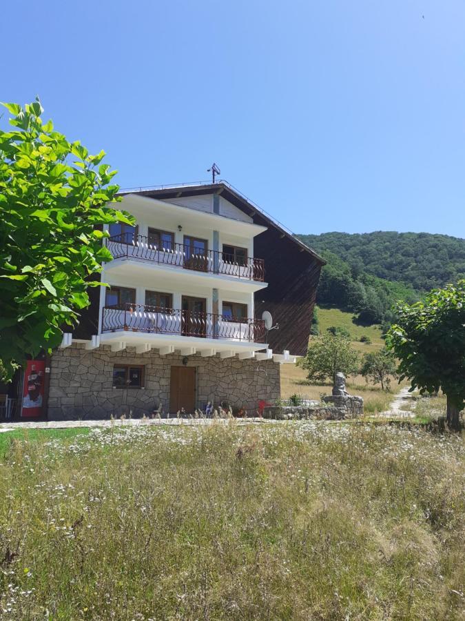 Pensiunea Costesti Exterior foto