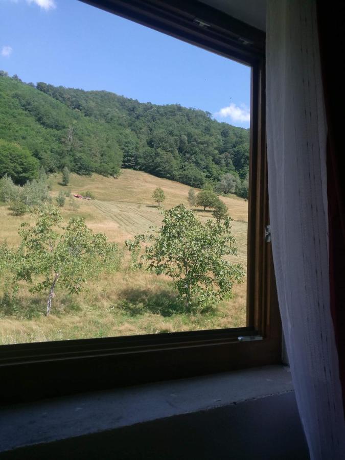 Pensiunea Costesti Exterior foto