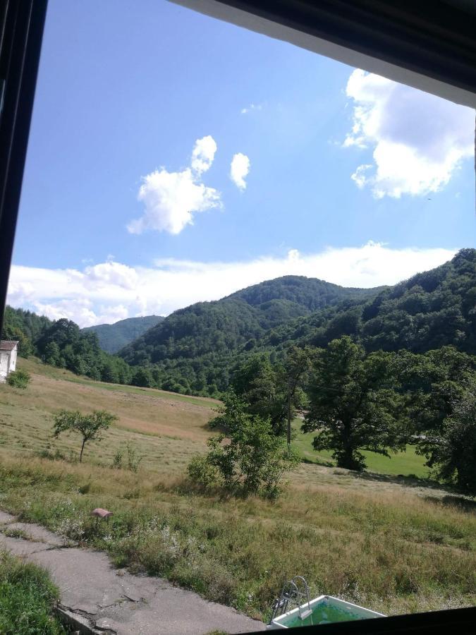 Pensiunea Costesti Exterior foto